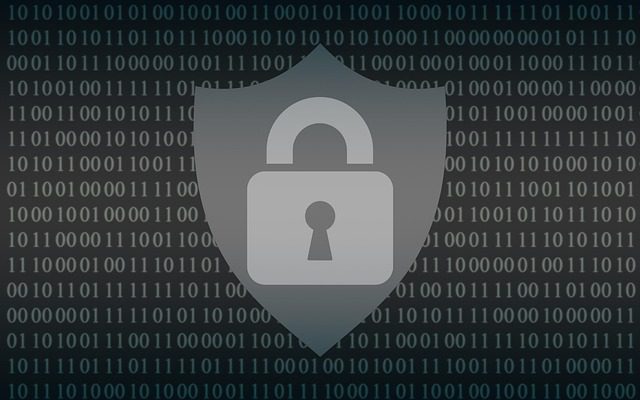 Why Vendor Diversity in Cybersecurity Matters